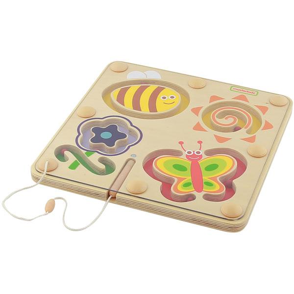 Magnetic Sliding Maze - Insects