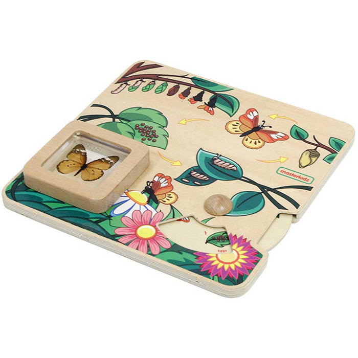 Butterfly Life Cycle Learning Board