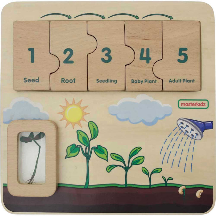 Plant Life Cycle Learning Board