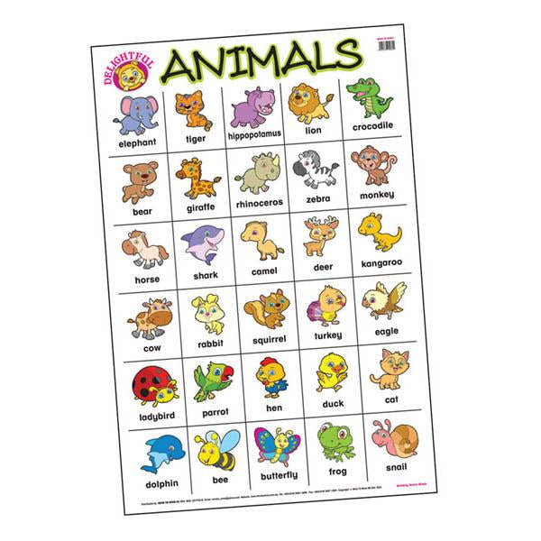 Educational Chart Animals