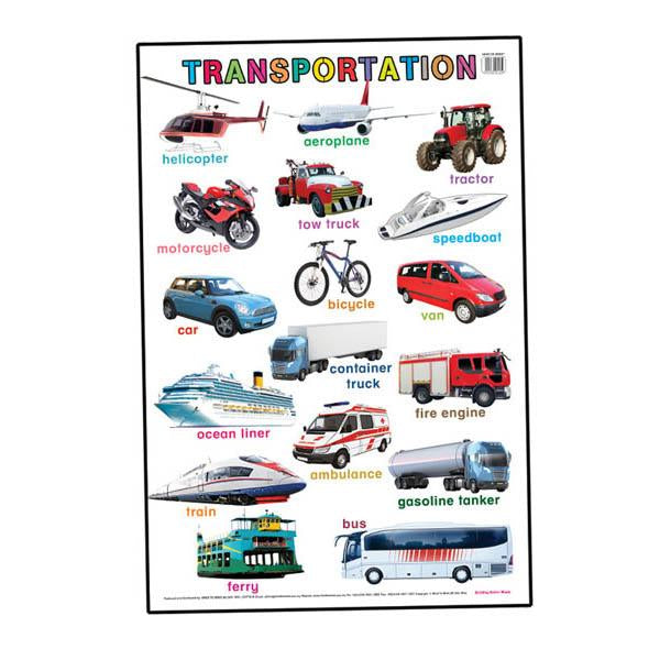 Educational Chart Transportation