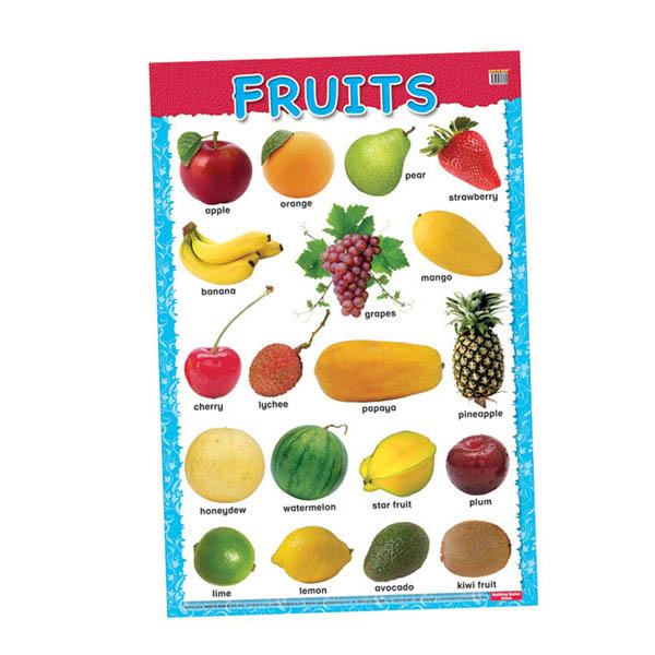 Educational Chart Fruits